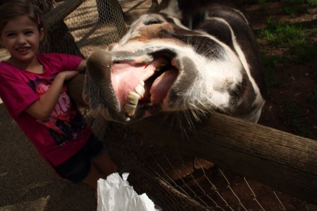 morning picdump 57 pics 5.html - 57 HD Photos | Premium Gallery 2014