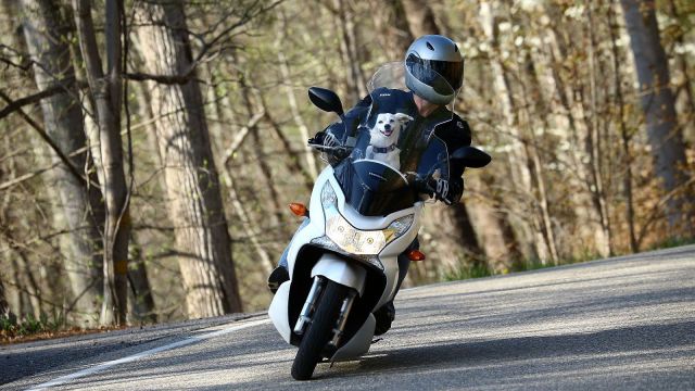 morning picdump 58 pics 4.html - 58 HD Photos | Premium Gallery 2014