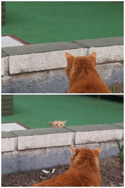 morning picdump 58 pics 4.html - 58 HD Photos | Premium Gallery 2014