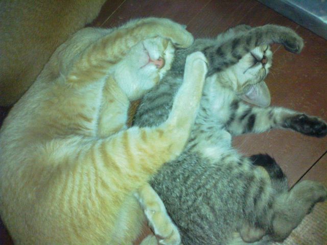 morning picdump 58 pics 4.html - 58 HD Photos | Premium Gallery 2014