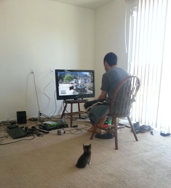 morning picdump 58 pics 4.html - 58 HD Photos | Premium Gallery 2014