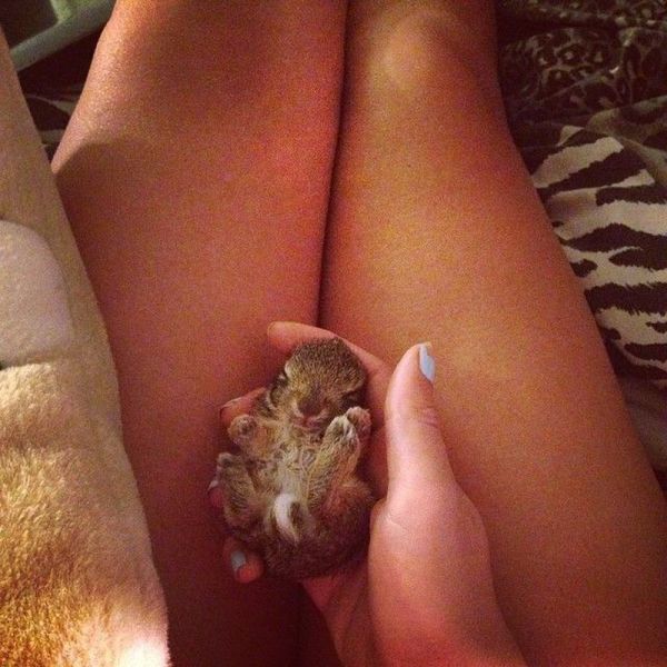 morning picdump 58 pics 4.html - 58 HD Photos | Premium Gallery 2014