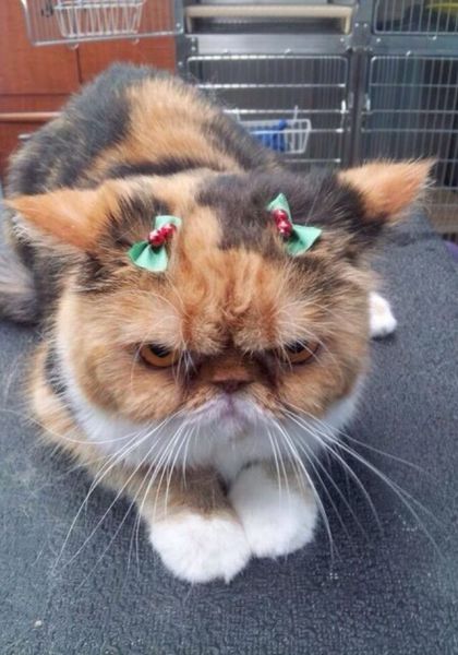 morning picdump 58 pics 4.html - 58 HD Photos | Premium Gallery 2014