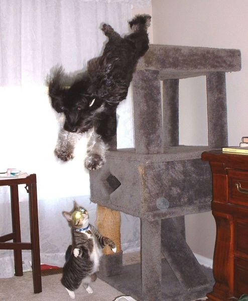 morning picdump 58 pics 4.html - 58 HD Photos | Premium Gallery 2014