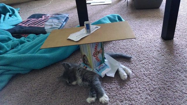 morning picdump 58 pics 4.html - 58 HD Photos | Premium Gallery 2014