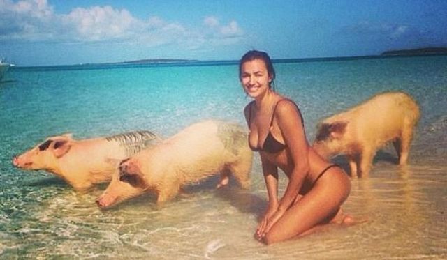 grownup corner 50 pics 3 gifs 9.html - 50 HD GIF | Premium Gallery 2014