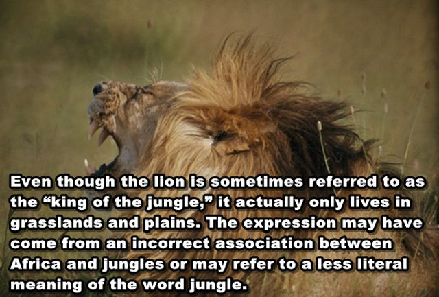 Interesting and Unusual Facts