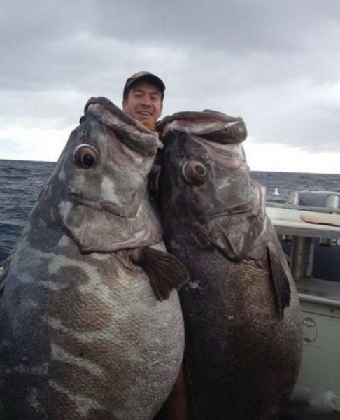 morning picdump 54 pics 3.html - 54 HD Photos | Premium Gallery 2014