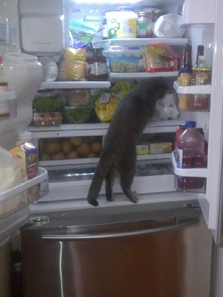 morning picdump 54 pics 3.html - 54 HD Photos | Premium Gallery 2014