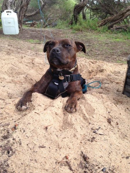 morning picdump 59 pics 11.html - 59 HD Photos | Premium Gallery 2014