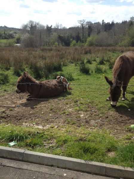 morning picdump 59 pics 11.html - 59 HD Photos | Premium Gallery 2014