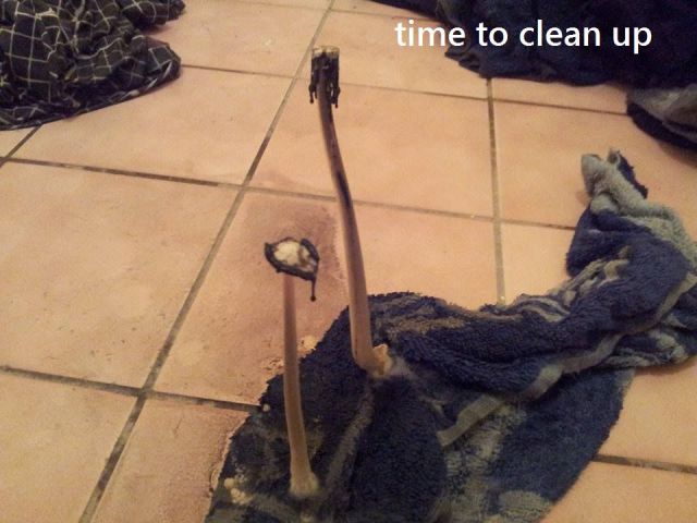 morning picdump 59 pics 11.html - 59 HD Photos | Premium Gallery 2014