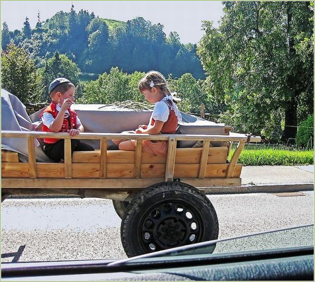 morning picdump 59 pics 11.html - 59 HD Photos | Premium Gallery 2014