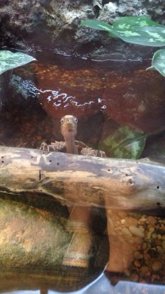 morning picdump 57 pics 7.html - 57 HD Photos | Premium Gallery 2014