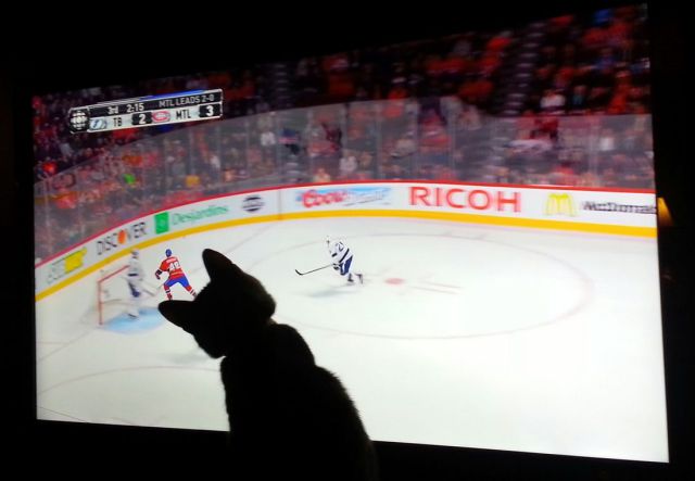 morning picdump 57 pics 7.html - 57 HD Photos | Premium Gallery 2014