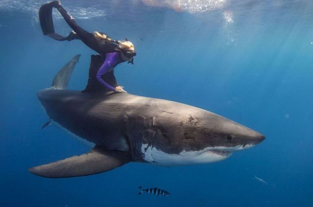 morning picdump 57 pics 7.html - 57 HD Photos | Premium Gallery 2014