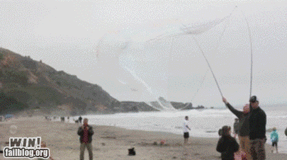 Just another Day at the Beach