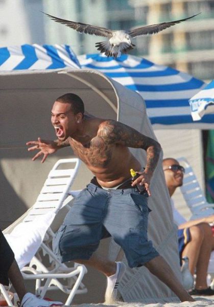 Just another Day at the Beach