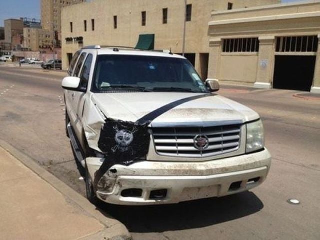 morning picdump 59 pics 29.html - 59 HD Photos | Premium Gallery 2014