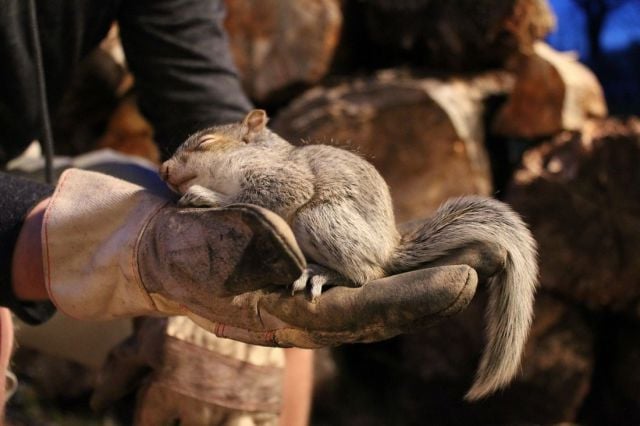 morning picdump 59 pics 29.html - 59 HD Photos | Premium Gallery 2014