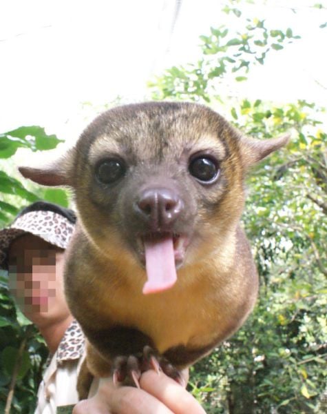 morning picdump 59 pics 29.html - 59 HD Photos | Premium Gallery 2014