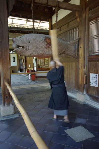 morning picdump 59 pics 29.html - 59 HD Photos | Premium Gallery 2014