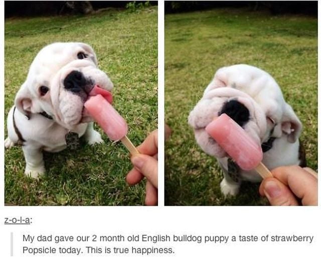 morning picdump 59 pics 29.html - 59 HD Photos | Premium Gallery 2014