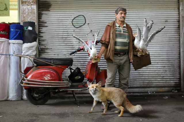 The Reality of Life in Iran