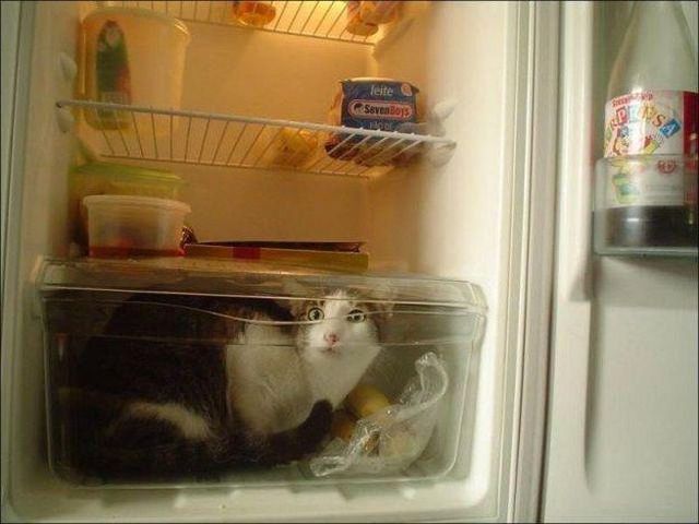 morning picdump 56 pics 11.html - 56 HD Photos | Premium Gallery 2014