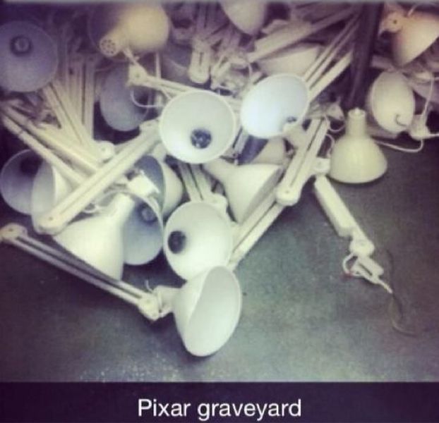 Morning Picdump