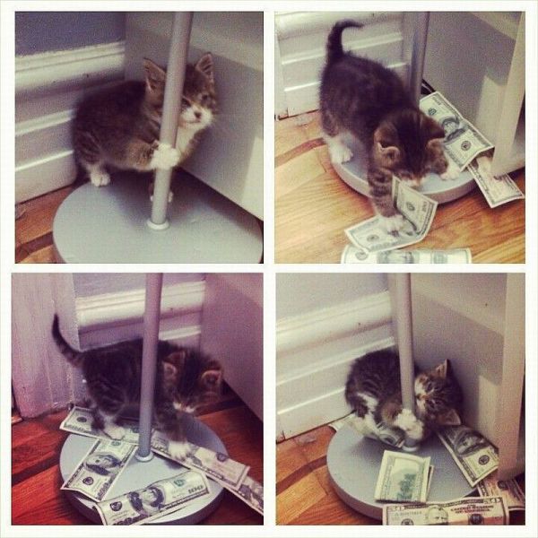 Morning Picdump