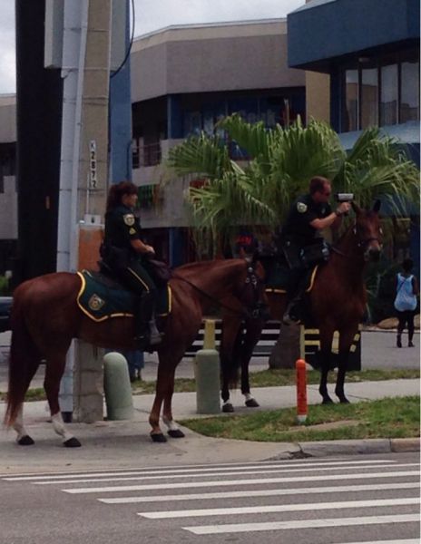 morning picdump 59 pics 20.html - 59 HD Photos | Premium Gallery 2014