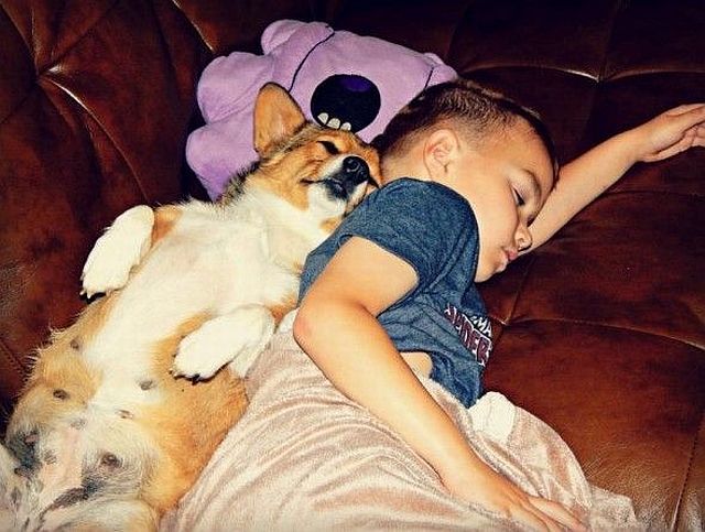Morning Picdump