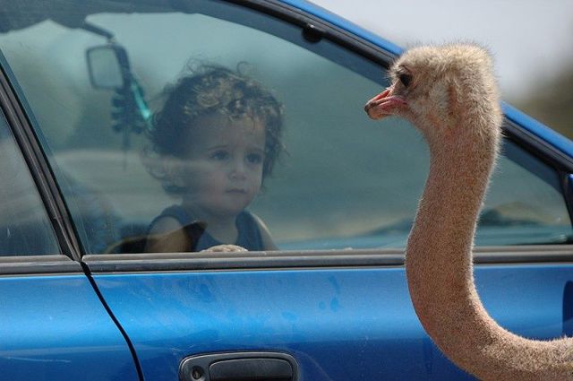 morning picdump 57 pics 11.html - 57 HD Photos | Premium Gallery 2014