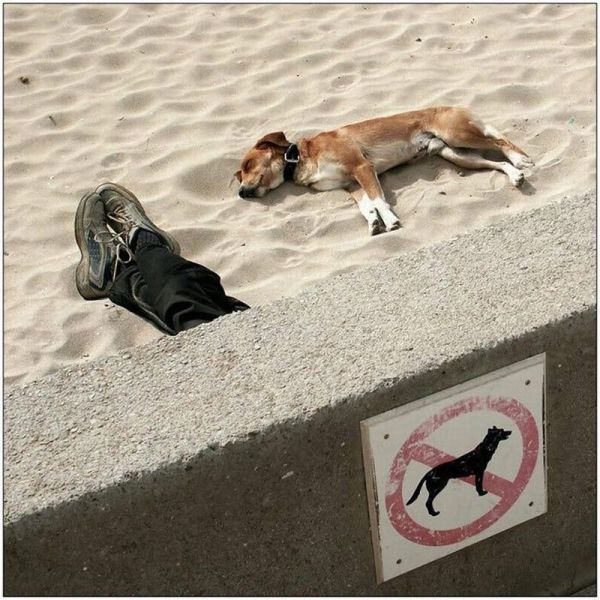 morning picdump 57 pics 11.html - 57 HD Photos | Premium Gallery 2014