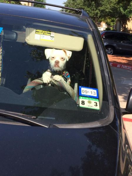 morning picdump 57 pics 11.html - 57 HD Photos | Premium Gallery 2014