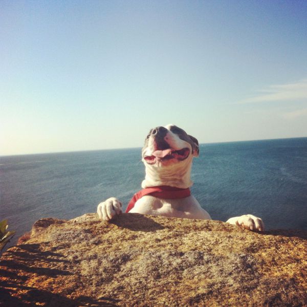 morning picdump 57 pics 11.html - 57 HD Photos | Premium Gallery 2014