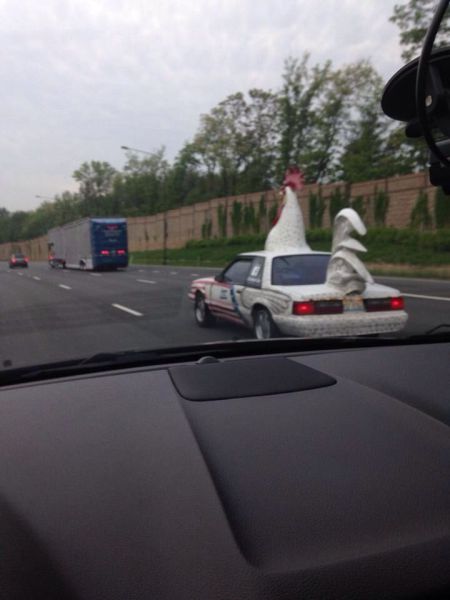 morning picdump 57 pics 11.html - 57 HD Photos | Premium Gallery 2014