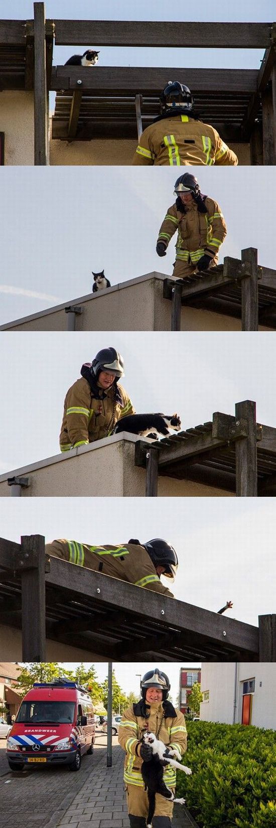 morning picdump 57 pics 11.html - 57 HD Photos | Premium Gallery 2014