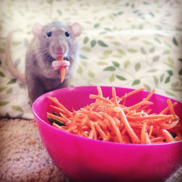 morning picdump 56 pics 6.html - 56 HD Photos | Premium Gallery 2014