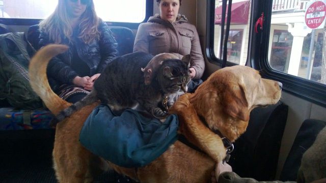 Morning Picdump