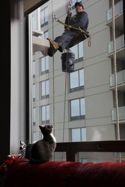 Morning Picdump
