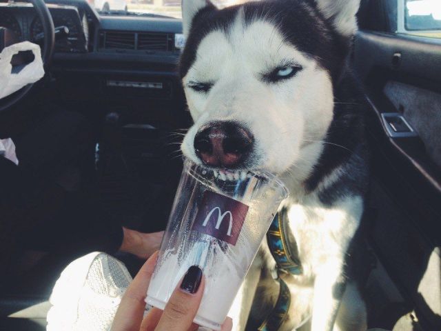 Morning Picdump