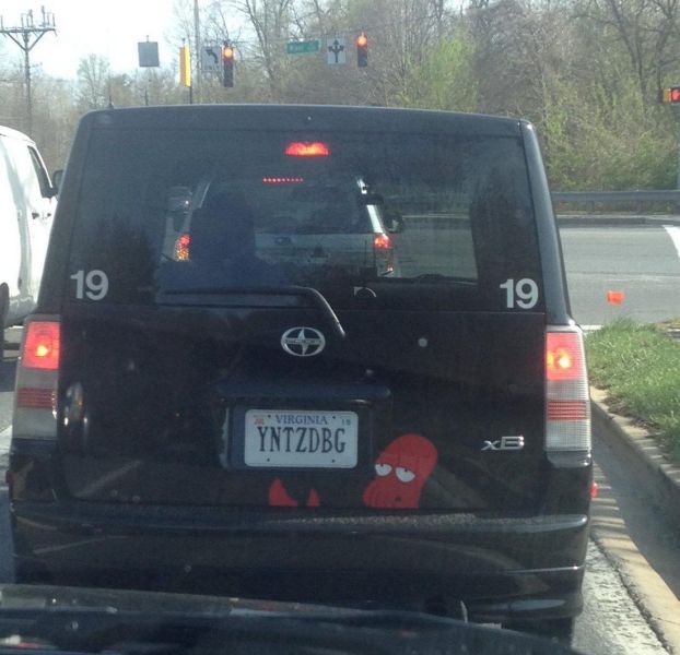 Morning Picdump