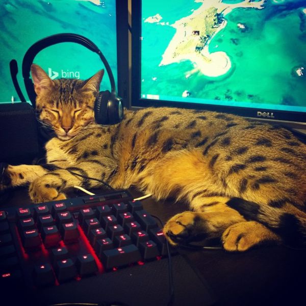 morning picdump 55 pics 2.html - 55 HD Photos | Premium Gallery 2014
