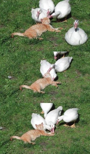 page,7,top 500 morning pics of the year 2014.html - 1 HD Photos | Premium Gallery 2014