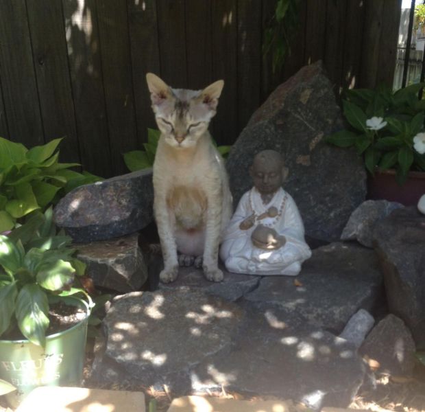 morning picdump 57 pics 14.html - 57 HD Photos | Premium Gallery 2014