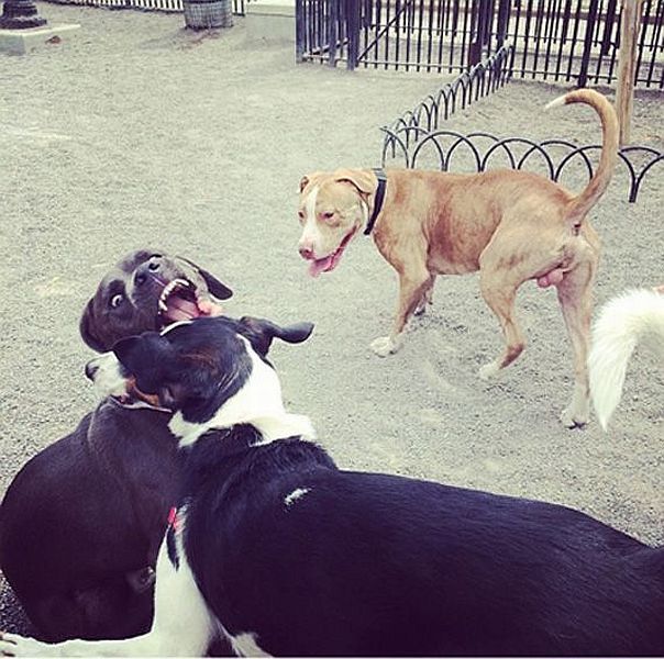 Morning Picdump