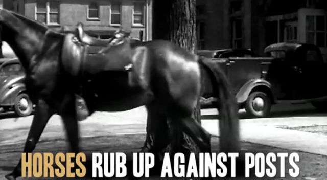 Surprising Facts about Female Masturbation