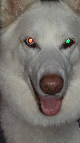 morning picdump 56 pics 14.html - 56 HD Photos | Premium Gallery 2014